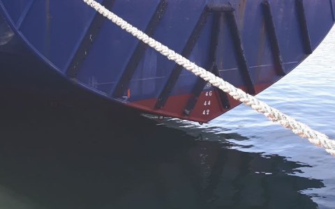 Image Not Found On Media Library